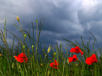 ...klikni za ve�u fotografiju!