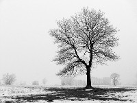 KLIK za ve�u fotku!