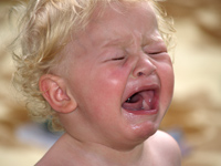 KLIK za ve�u fotku.