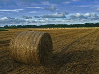 KLIK za ve�u fotku!