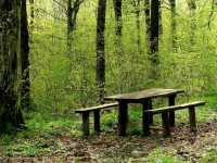 KLIK za ve�u fotku!