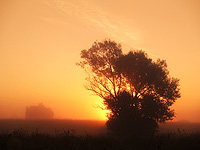 KLIK za ve�u fotku!