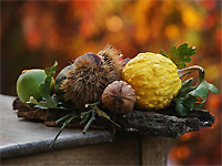 KLIK na ve�u fotku!