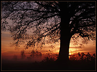 KLIK za ve�u fotku!