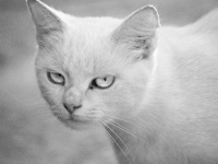 KLIK za ve�u fotku!