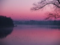 KLIK za ve�u fotku!