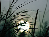 KLIK za ve�u fotku!