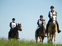 KLIK ZA VE�U FOTKU!