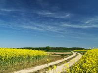 KLIK za ve�u fotku!