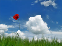 KLIK za ve�u fotku!