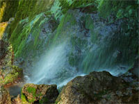 KLIK za ve�u fotku!