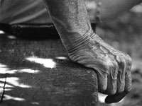 KLIK za ve�u fotku!