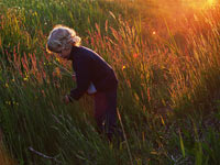 KLIK za ve�u fotku!