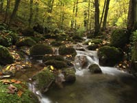 KLIK za ve�u fotku!