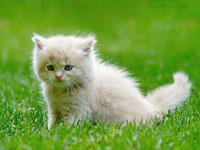 KLIK za ve�u fotku!