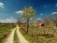 KLIK za ve�u fotku!