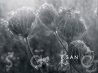 U petak, 25. sije�nja 2008., u 19 sati, u dvarani op�ine Pitoma�a, Ljudevita Gaja 26/1 biti �e otvorena moja prva samostalna izlo�ba fotografija pod nazivom <font color=#333399>SAN.</font>

Izlo�ba �e ostati otvorena </font>do 22. velja�e 2008.