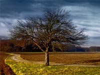 KLIK za ve�u fotku!