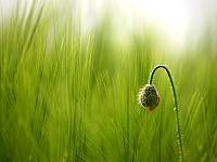 KLIK za ve�u fotku!