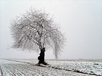 KLIK za ve�u fotku!