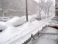 isla ja ujutro kupit mliko, kad ono...