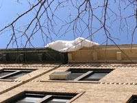 cuvaj se, sladoleeeed!!!