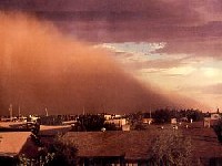 haboob