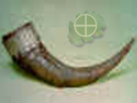 Rog prona�en u mjestu Crna Mogila u poljskoj