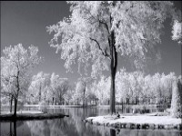                                                                                                        �               0                                                                                                               �               0