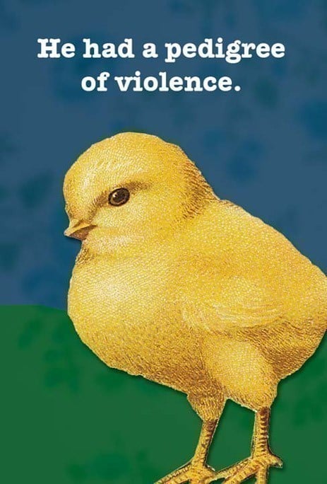 Violent chicken