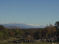 Snje�ni vrh Velebita