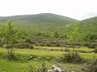 Vrh Prosjeka i Gradine