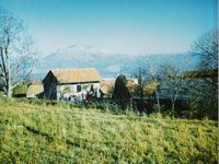 Ku�a pod Prosjekom