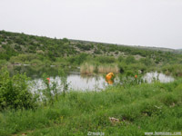 Zeleno, �to volim zeleno!