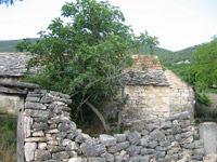 Al su smokve slatke!