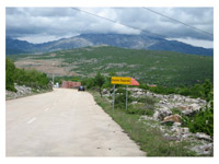 Ki�no jutro u �egaru