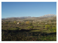 Jablanovi prate rijeku