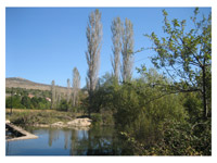 Tri jablana uz Zrmanju