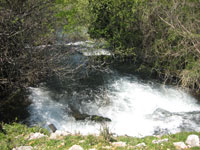 ..Ptice bje�e�i prolaze...