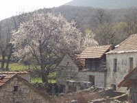 Gradina ispod Prosjeka