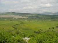 �egarsko polje