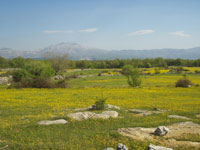 Livade na Velikom dolcu