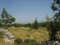 Bukova�ki krajolik