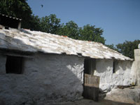 ...i pjesnici pjevaju o zavi�aju....