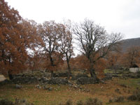 I��ekivanje zime...