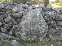 Uspravno stoji i �eka....