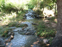 Bistra i �ista...Zrmanja �ubori....